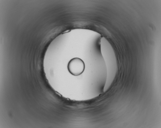 X0000113590452200910161847