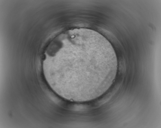 X0000113590453200910161847