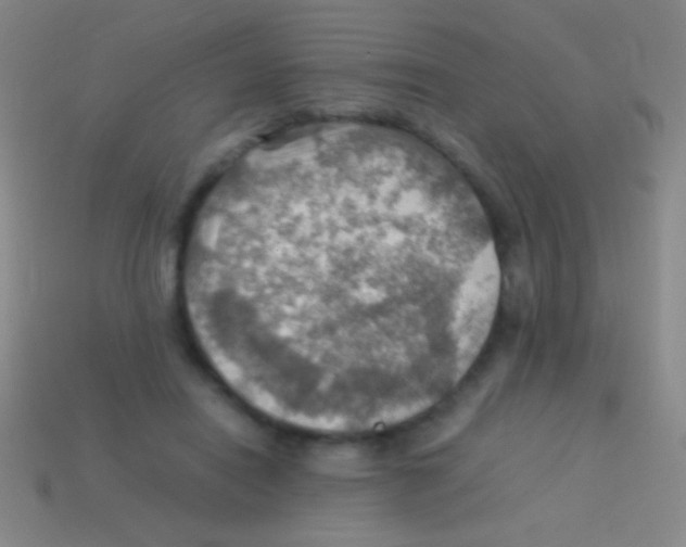 X0000113590454200910161847