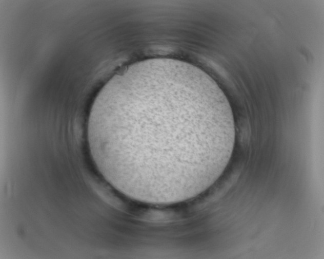 X0000113590455200910161847