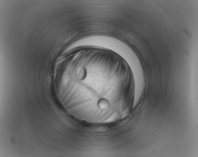 X0000113590456200910161847