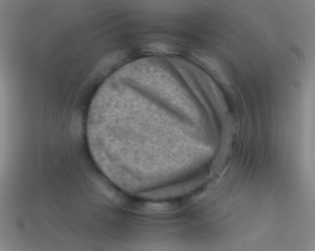 X0000113590457200910161847