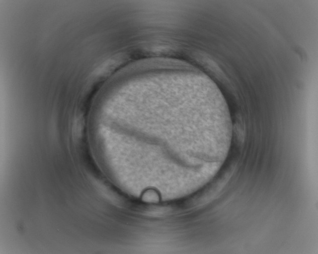 X0000113590458200910161847