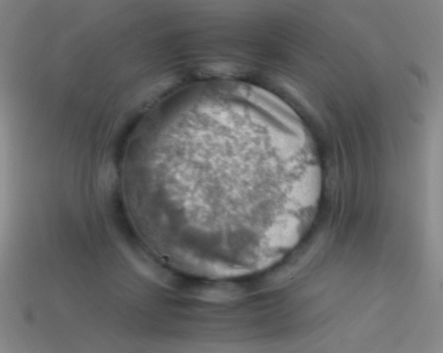 X0000113590459200910161847