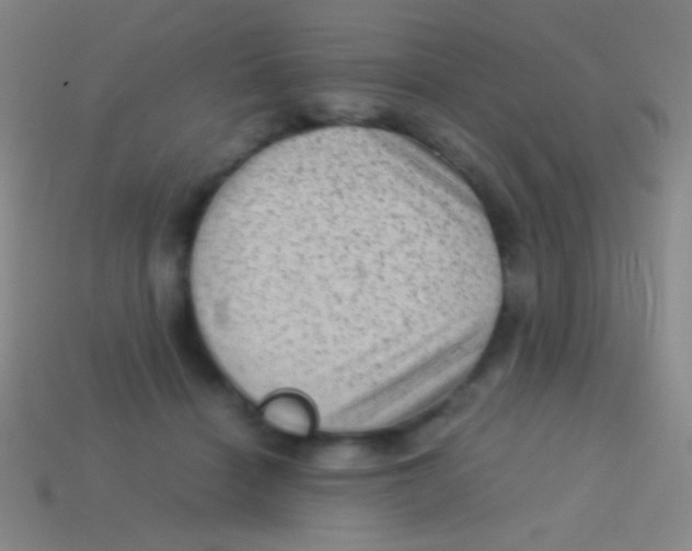 X0000113590460200910161847