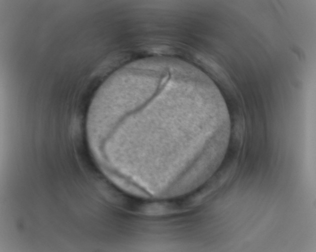 X0000113590461200910161847