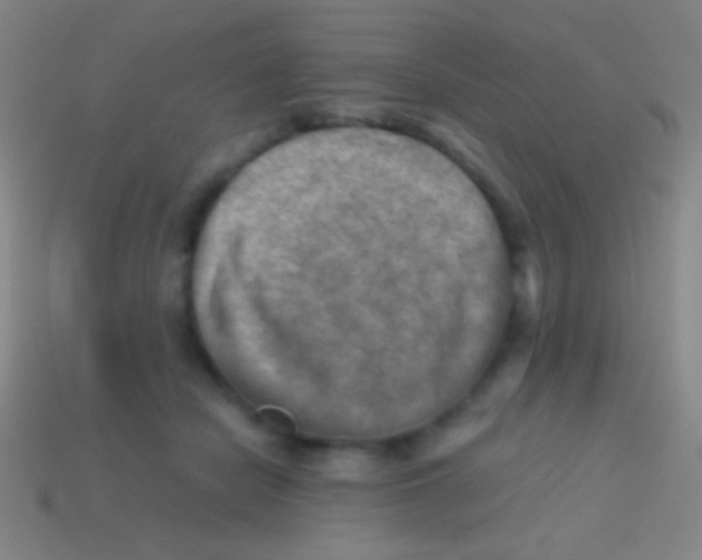 X0000113590462200910161847