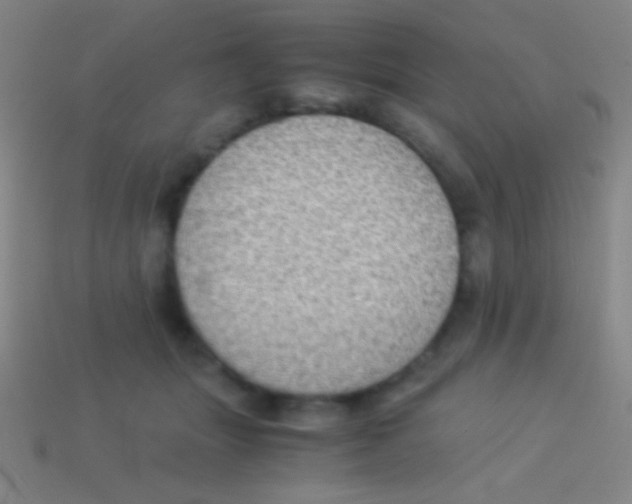 X0000113590463200910161847