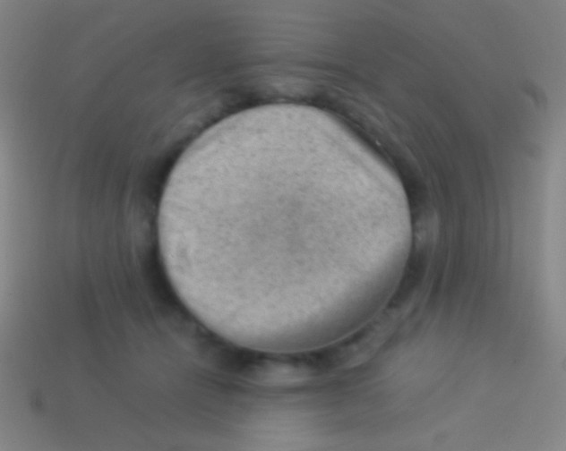 X0000113590464200910161847