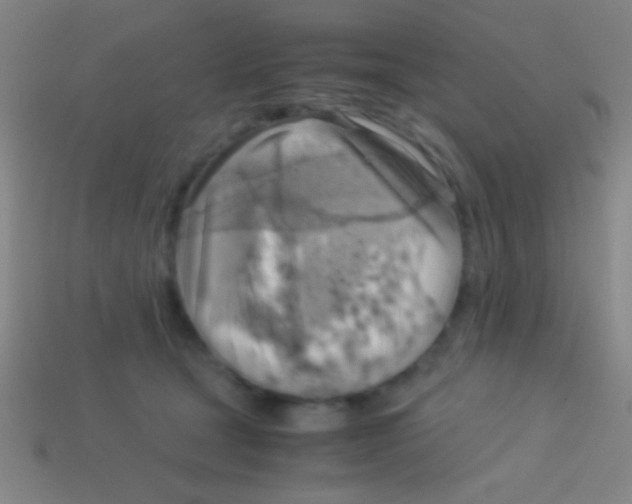 X0000113590465200910161847