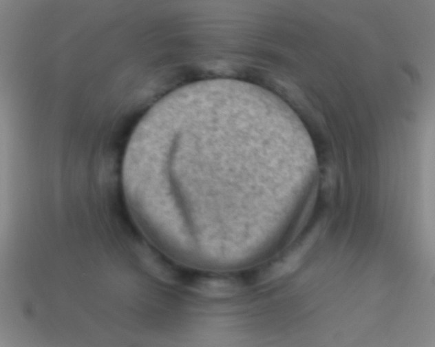 X0000113590466200910161847