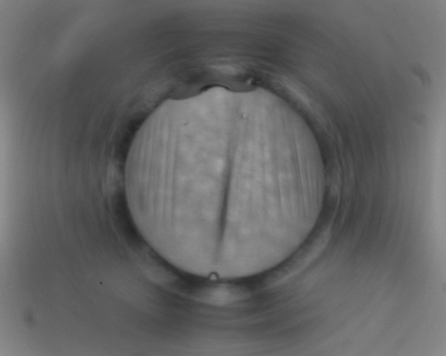 X0000113590467200910161847