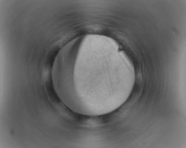 X0000113590468200910161847