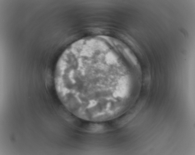 X0000113590469200910161847