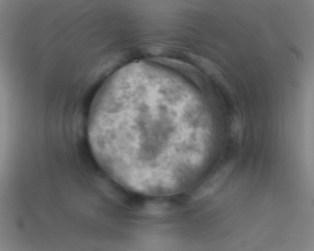 X0000113590470200910161847