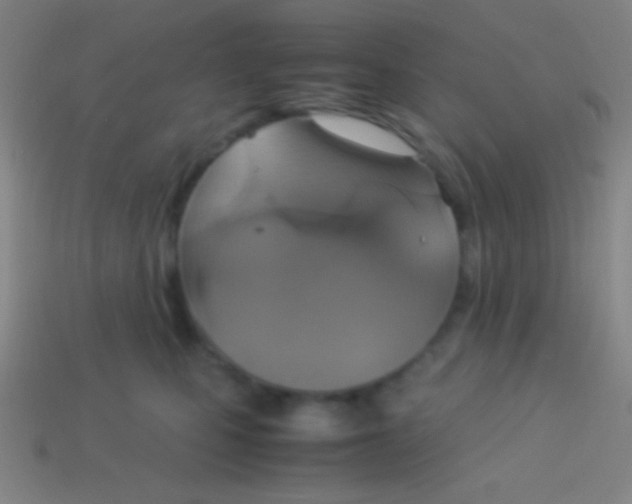 X0000113590471200910161847