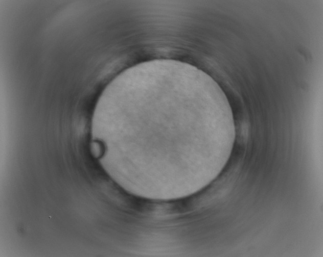 X0000113590472200910161847
