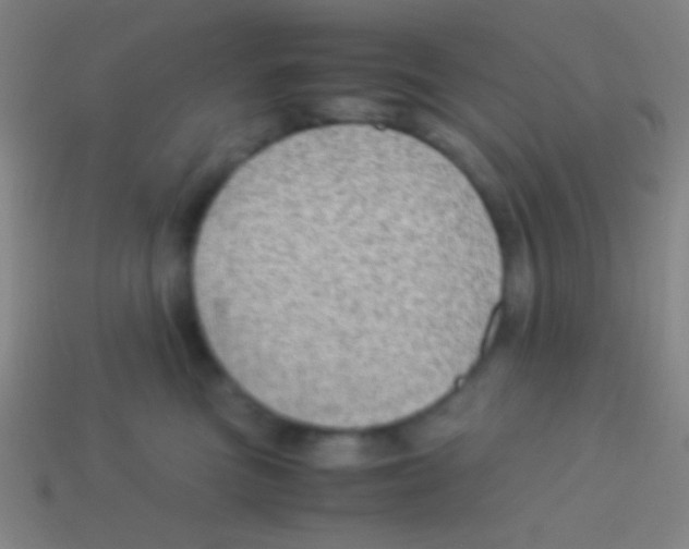 X0000113590473200910161847