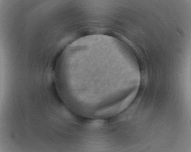 X0000113590474200910161847