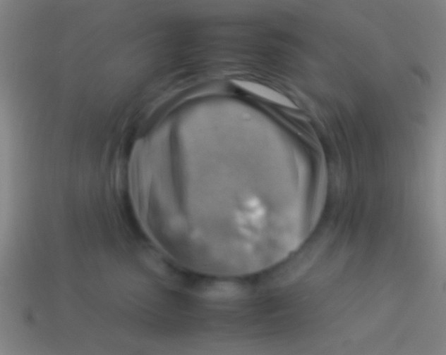 X0000113590475200910161847