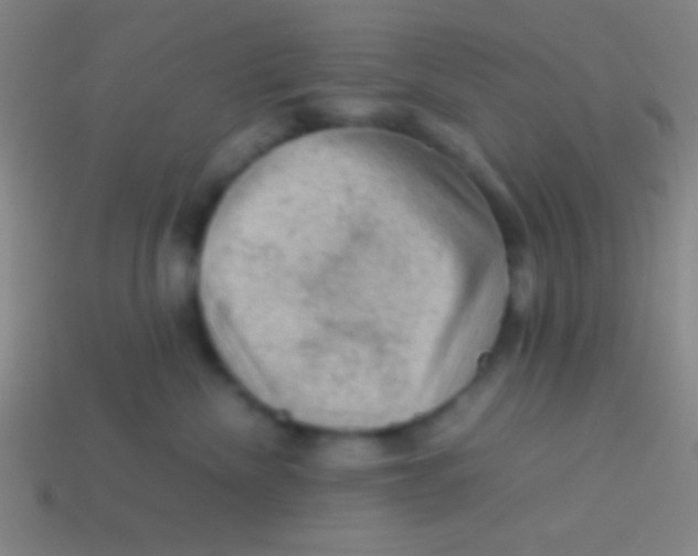 X0000113590476200910161847
