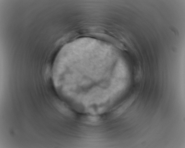 X0000113590478200910161847