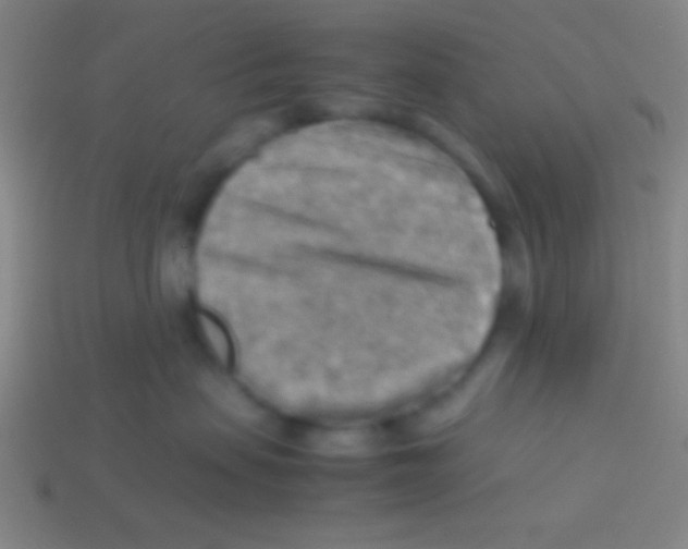 X0000113590479200910161847