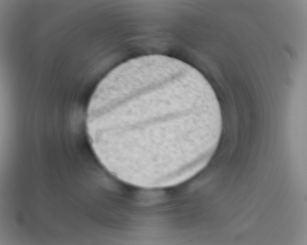 X0000113590480200910161847