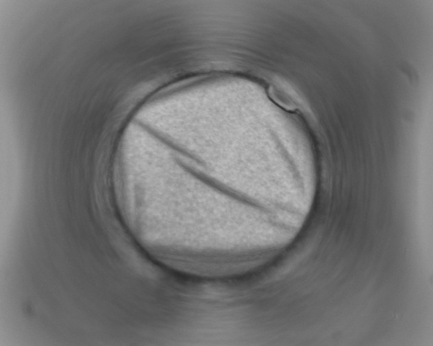 X0000113590481200910161846