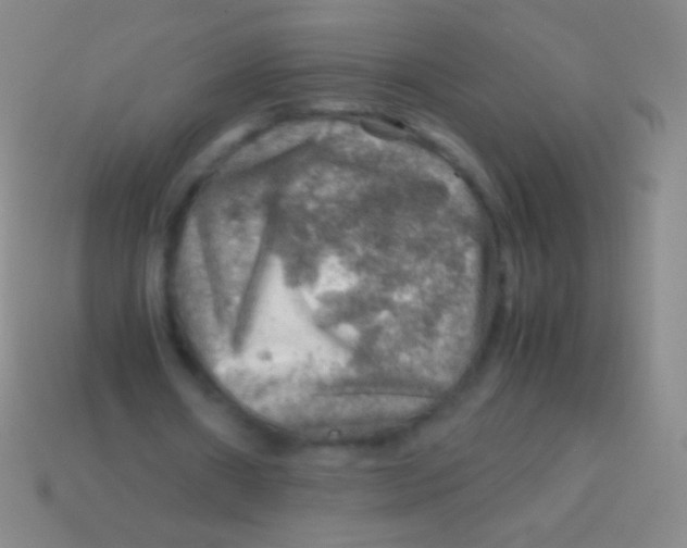 X0000113590482200910161846