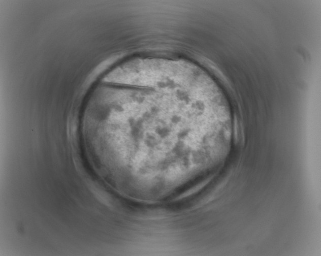 X0000113590483200910161846