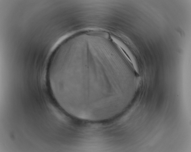 X0000113590484200910161846