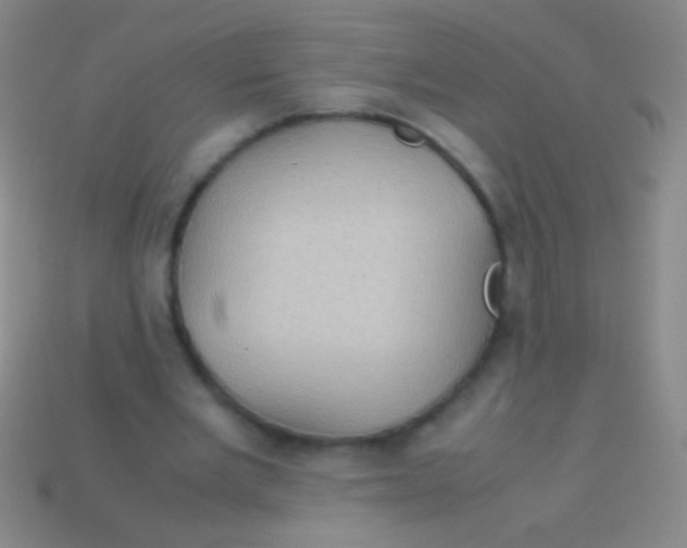X0000113590485200910161846