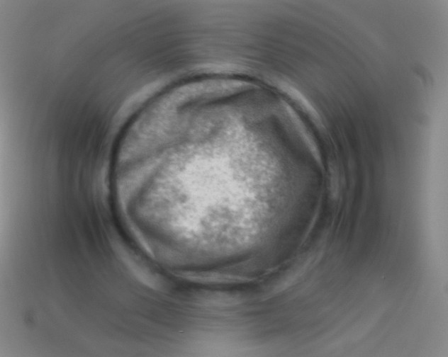 X0000113590486200910161846