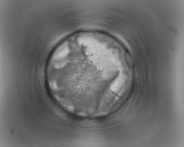 X0000113590487200910161846