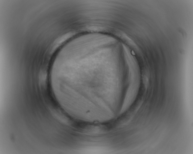 X0000113590488200910161846
