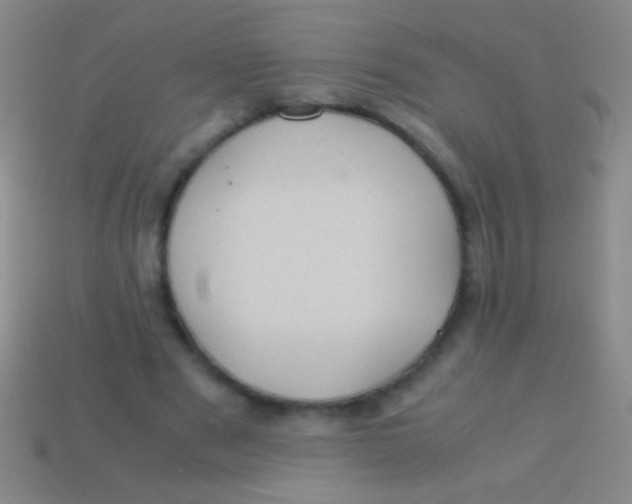 X0000113590489200910161846