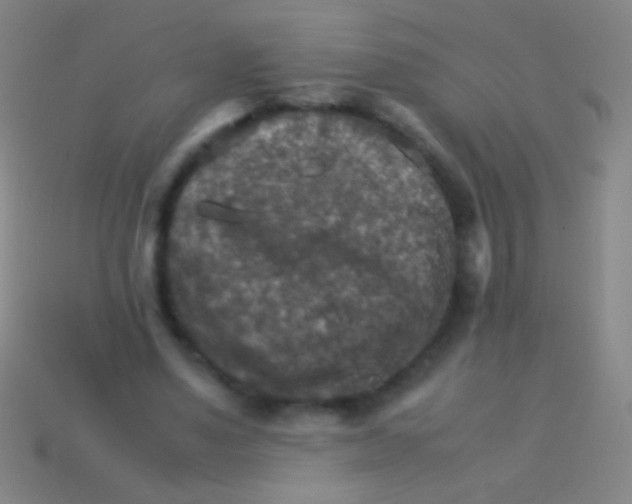 X0000113590491200910161846