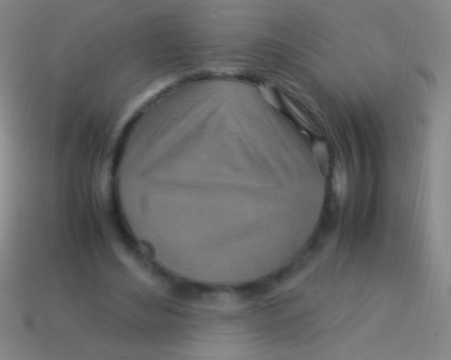 X0000113590492200910161846