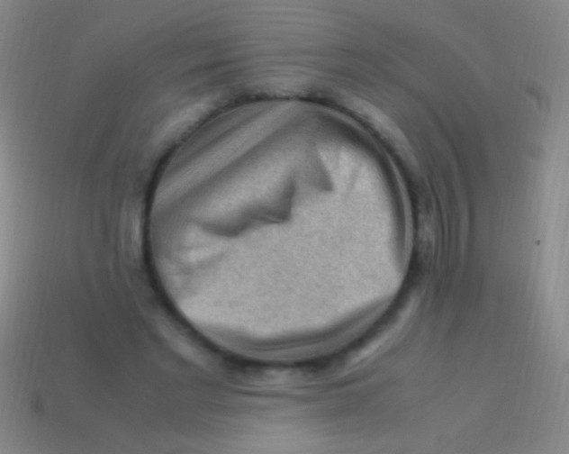 X0000113590493200910161846