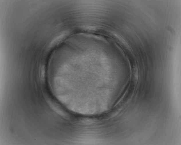 X0000113590494200910161846