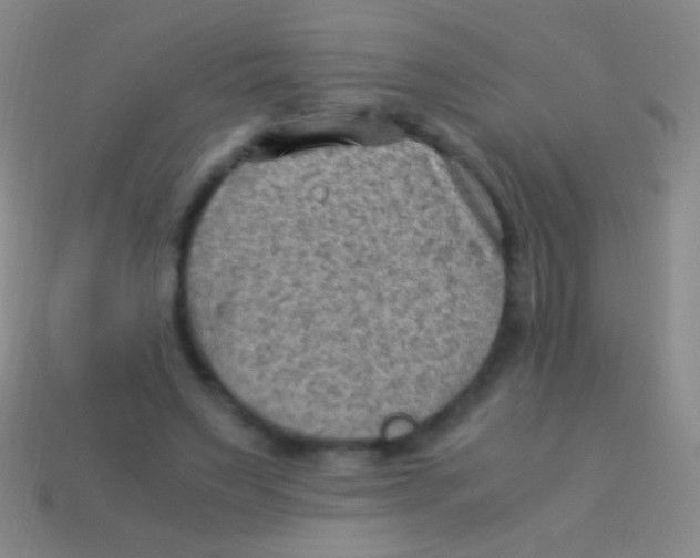 X0000113590495200910161846