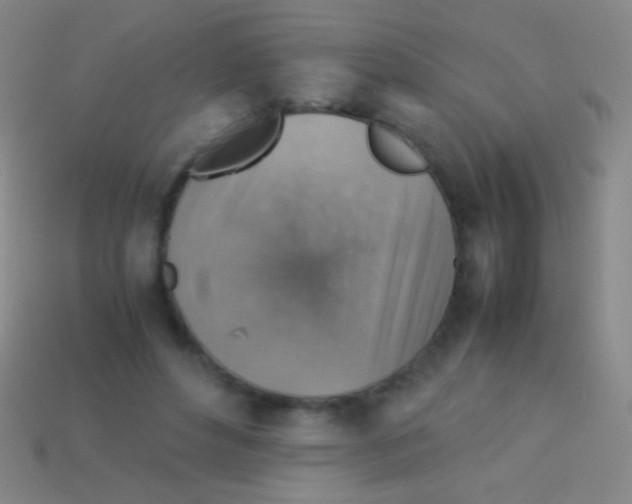 X0000113590496200910161846