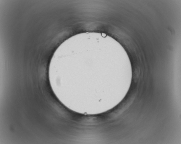 X0000113590497200910161846