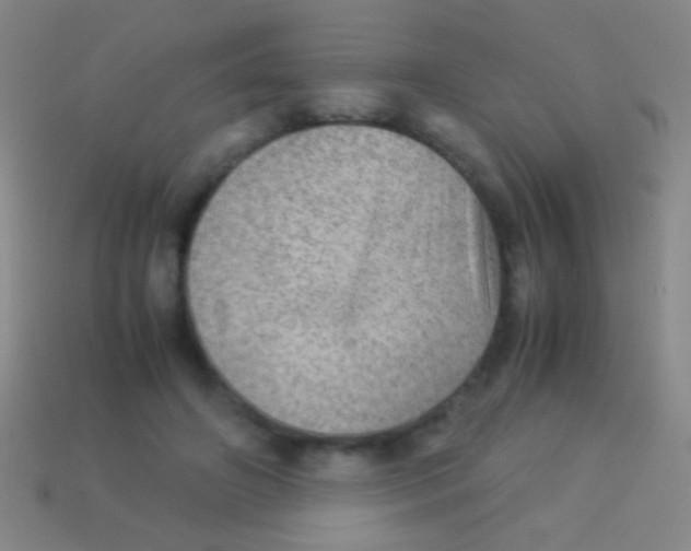 X0000113590498200910161846