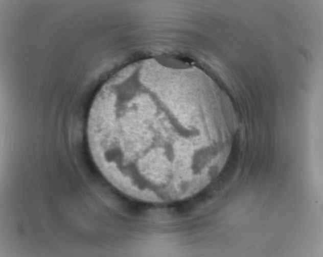 X0000113590499200910161846