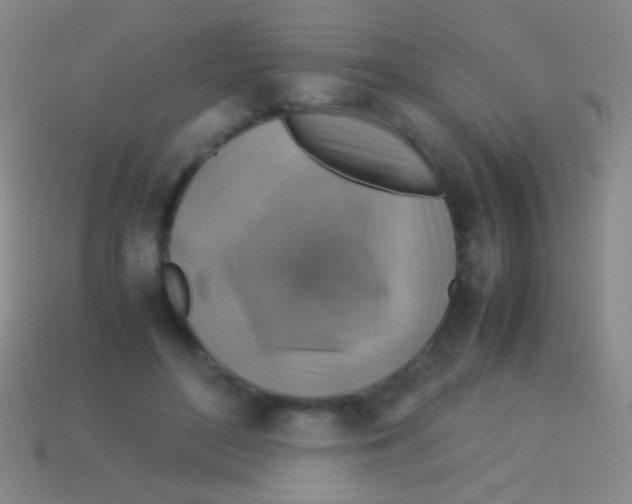 X0000113590500200910161846