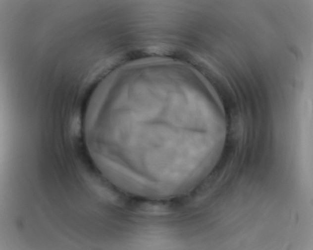 X0000113590502200910161846
