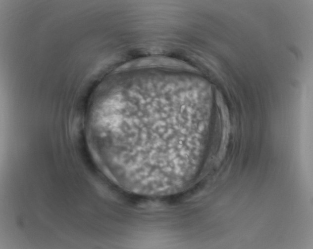X0000113590503200910161846