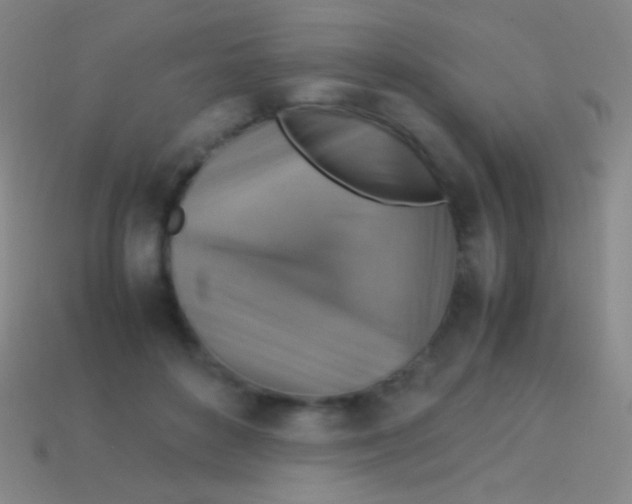 X0000113590504200910161846